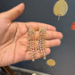 Chetna Sparkling Mid Size Diamond Earring