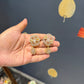 Devanshi Mid Size Diamond Earring