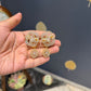 Devanshi Mid Size Diamond Earring