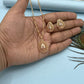 Ankita Chain Set