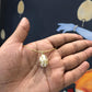 Amira Chain