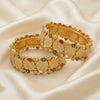 Elegant Anamika Bangles