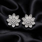 Diamond Look Earrings