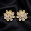 Diamond Look Earrings